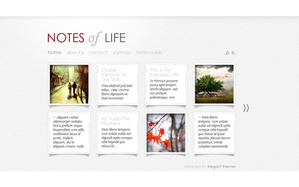 Daily Notes