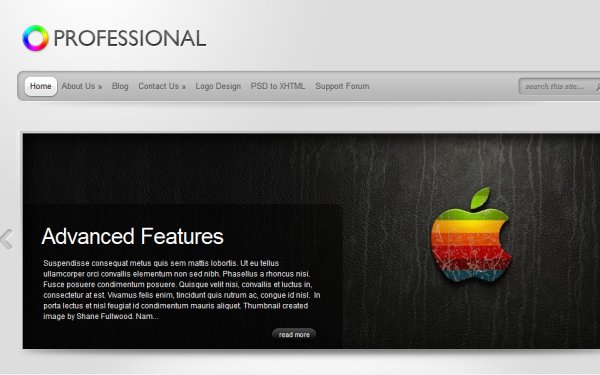 Professional